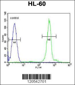 Anti-DPPA5 Rabbit Polyclonal Antibody (FITC (Fluorescein Isothiocyanate))