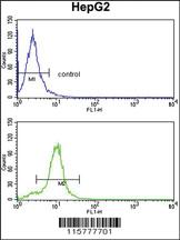 Anti-CYP2E1 Rabbit Polyclonal Antibody