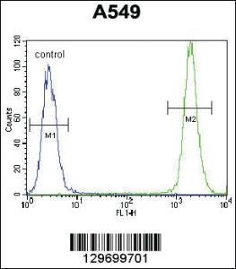 Anti-TRIM9 Rabbit Polyclonal Antibody