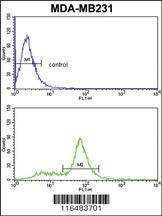 Anti-IL33 Rabbit Polyclonal Antibody