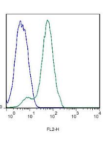 Anti-S1PR5 Rabbit Polyclonal Antibody