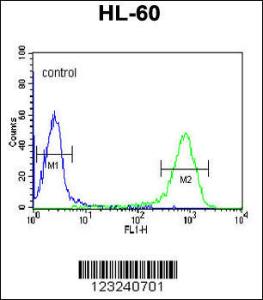 Anti-DCP2 Rabbit Polyclonal Antibody (FITC (Fluorescein Isothiocyanate))