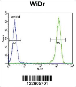 Anti-MC2R Rabbit Polyclonal Antibody