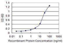 Anti-TNFSF11 Mouse Monoclonal Antibody [clone: 3F7]