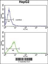 Anti-IL9R Rabbit Polyclonal Antibody