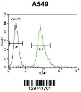 Anti-MYBPHL Rabbit Polyclonal Antibody