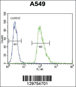 Anti-AQP12B Rabbit Polyclonal Antibody