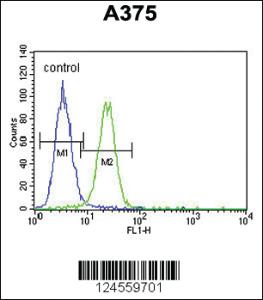 Anti-XRCC1 Rabbit Polyclonal Antibody