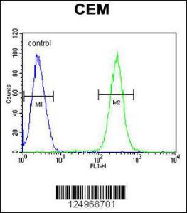 Anti-BCAN Rabbit Polyclonal Antibody (PE (Phycoerythrin))