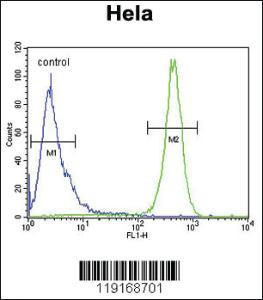 Anti-BECN1 Rabbit Polyclonal Antibody