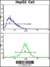 Anti-HPD Rabbit Polyclonal Antibody (AP (Alkaline Phosphatase))