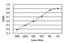 Anti-PIAS2 Antibody Pair