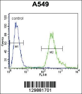 Anti-SOWAHD Rabbit Polyclonal Antibody