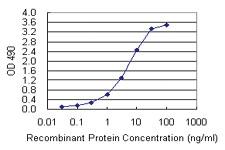 Anti-PDCD1LG2 Mouse Monoclonal Antibody (Biotin)