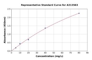 Representative standard curve for human BMP6 ELISA kit (A313563)