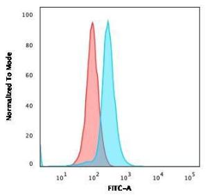 Antibody anti-CD27 LPFS21611 BSA 100 µg