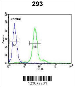 Anti-DDX23 Rabbit Polyclonal Antibody