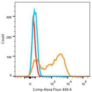 Flow cytometric analysis of Anti-CD3 epsilon + CD3G Antibody [ARC5083-01] (A309691) (1 µg/ml) in Jurkats cells (orange) compared to rabbit IgG Isotype control (blue) and non-staining control (red)