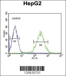 Anti-PTMS Rabbit Polyclonal Antibody