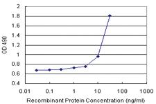 Anti-CALML5 Antibody Pair