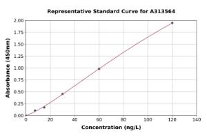 Representative standard curve for human IRS2 ELISA kit (A313564)