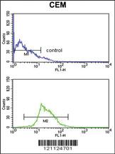 Anti-PUF60 Rabbit Polyclonal Antibody