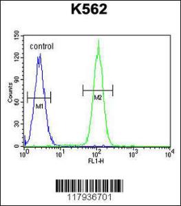 Anti-DDX27 Rabbit Polyclonal Antibody (FITC (Fluorescein Isothiocyanate))