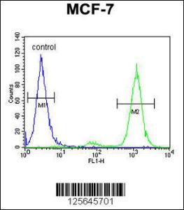 Anti-CNPY2 Rabbit Polyclonal Antibody (Biotin)