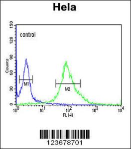 Anti-DDX49 Rabbit Polyclonal Antibody (AP (Alkaline Phosphatase))