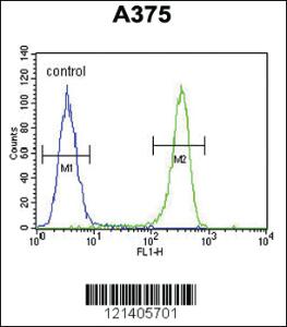 Anti-DSC1 Rabbit Polyclonal Antibody