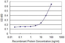 Anti-CKS2 Mouse Monoclonal Antibody [clone: 2H5-2C4]