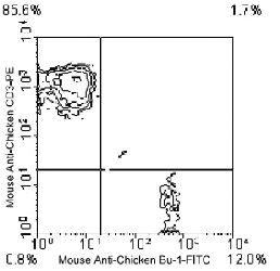 Anti-Bu-1 Mouse Monoclonal Antibody (PE (Phycoerythrin)) [clone: AV20]