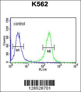 Anti-MTMRF Rabbit Polyclonal Antibody (HRP (Horseradish Peroxidase))