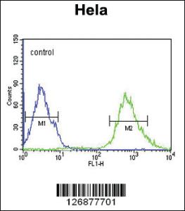 Anti-IPO9 Rabbit Polyclonal Antibody