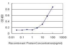 Anti-KCNE1 Mouse Monoclonal Antibody [clone: 2A6]