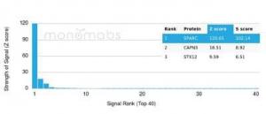 Analysis of protein array containing more than 19000 full-length human proteins using Anti-SPARC Antibody [OSTN/3933].