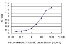 Anti-CLCA1 Mouse Monoclonal Antibody [clone: 2C10]