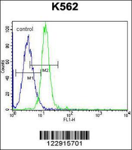 Anti-HERG1 Rabbit Polyclonal Antibody (AP (Alkaline Phosphatase))