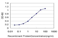 Anti-KCNJ10 Mouse Monoclonal Antibody [clone: 1C11]