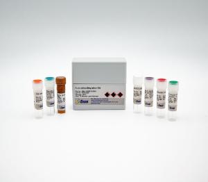 Auto-ubiquitinylation kit