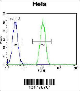 Anti-INS Rabbit Polyclonal Antibody (HRP (Horseradish Peroxidase))