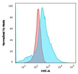 Anti-GLUT1 antibody