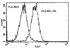 Anti-BCL2L1 Mouse Monoclonal Antibody (FITC (Fluorescein isothiocyanate)) [clone: 7B2.5]