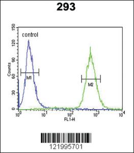 Anti-UBE2J1 Rabbit Polyclonal Antibody