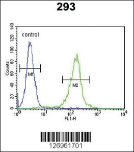 Anti-SPAG8 Rabbit Polyclonal Antibody