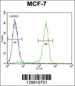 Anti-OAZ2 Rabbit Polyclonal Antibody