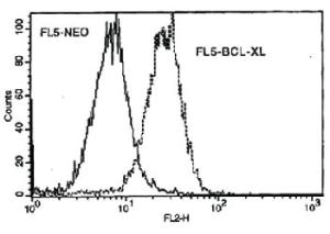 Anti-BCL2L1 Mouse Monoclonal Antibody (Biotin) [clone: 7B2.5]