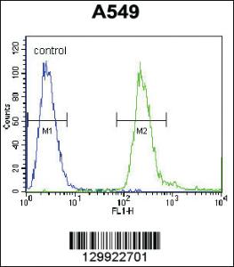 Anti-CORO7 Rabbit Polyclonal Antibody