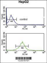 Anti-AGPAT3 Rabbit Polyclonal Antibody [clone: 432CT31.4.2]