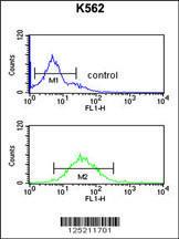 Anti-DEN1A Rabbit Polyclonal Antibody (FITC (Fluorescein Isothiocyanate))